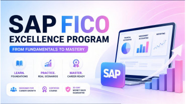 SAP FICO Excellence Program: From Fundamentals to Mastery