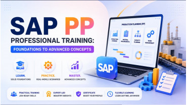 SAP PP Professional Training: Foundations to Advanced Concepts